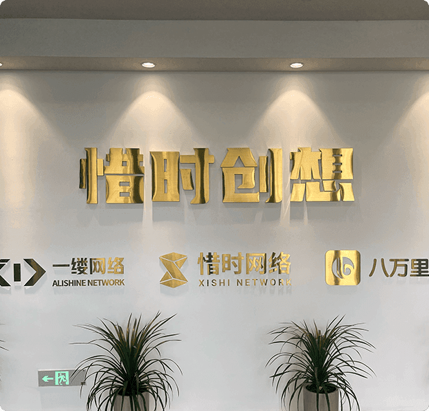 公司概况
